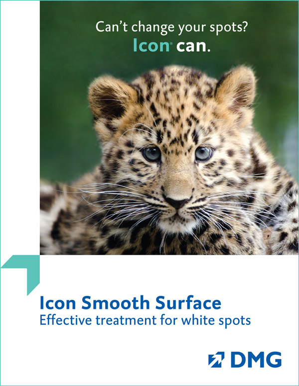Icon_Smooth-Surface_Brochure